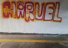 Photo 245722