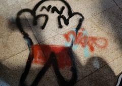 Photo 244294