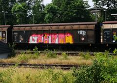 Photo #231918 by pannonian