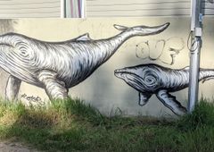 Photo 245812