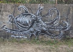 Photo 243811