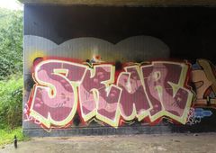 Photo 245581