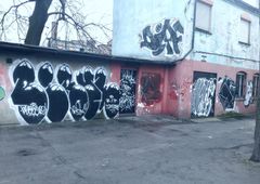 Photo #218423 by thule