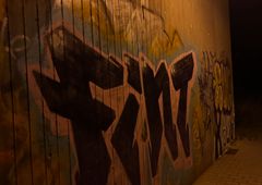 Photo 245839