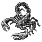Avatar of Sollo52