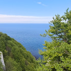 Avatar of Taj3mnicaa