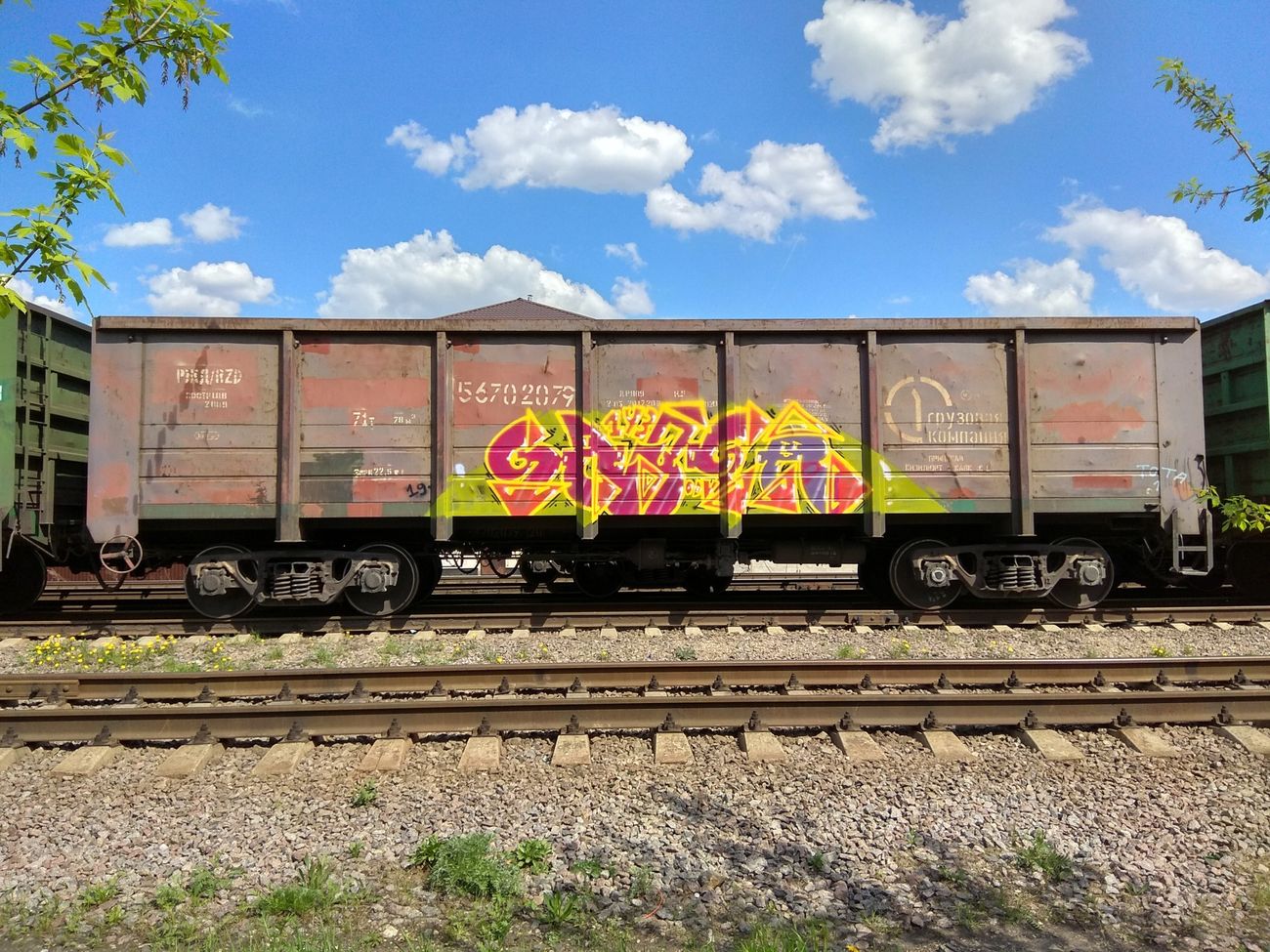 Photo #239143 by 5483r143