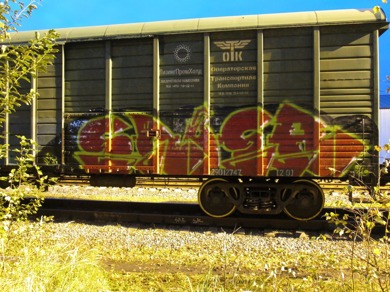 Photo #239130 by 5483r143