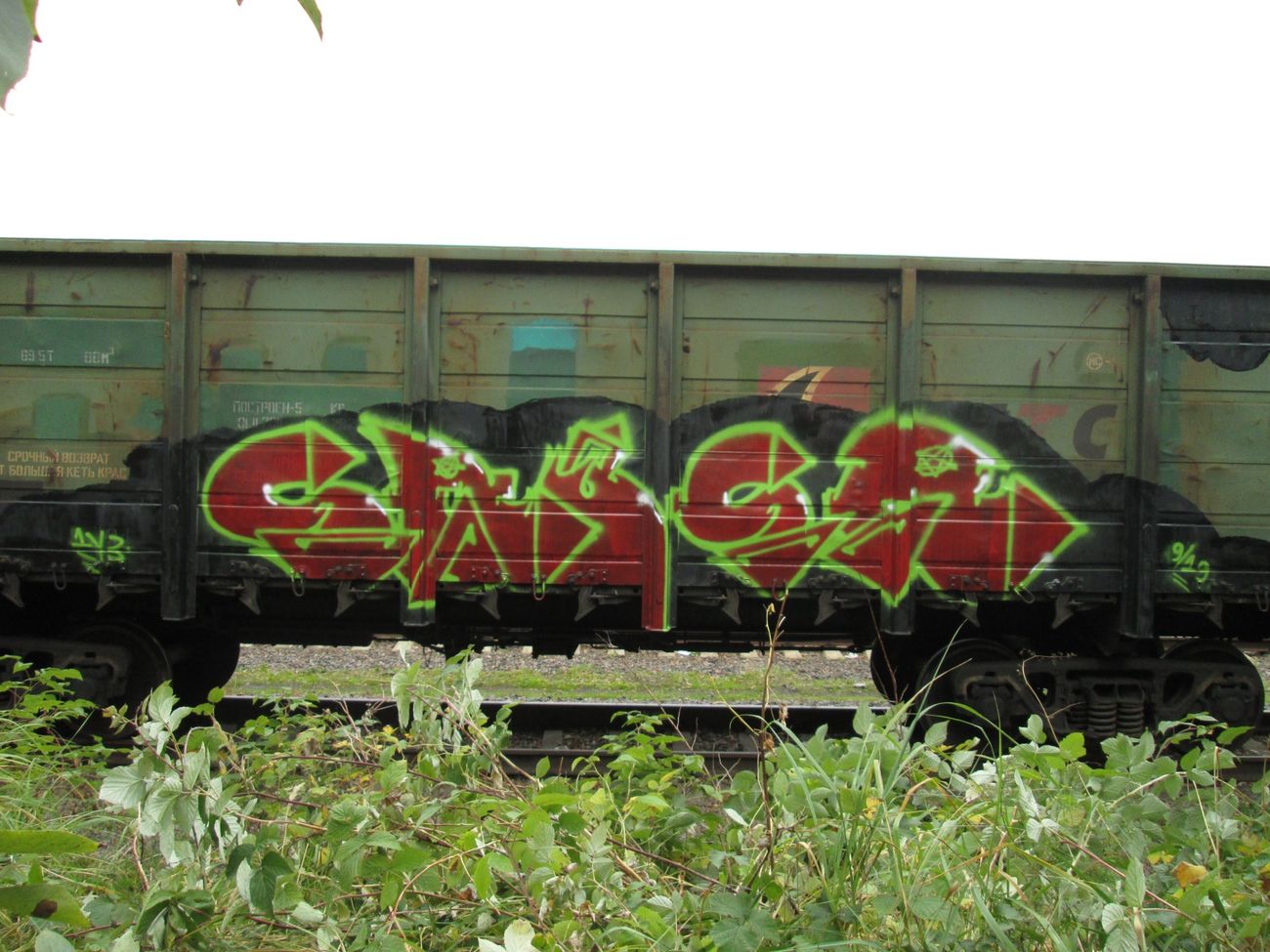 Photo #239128 by 5483r143
