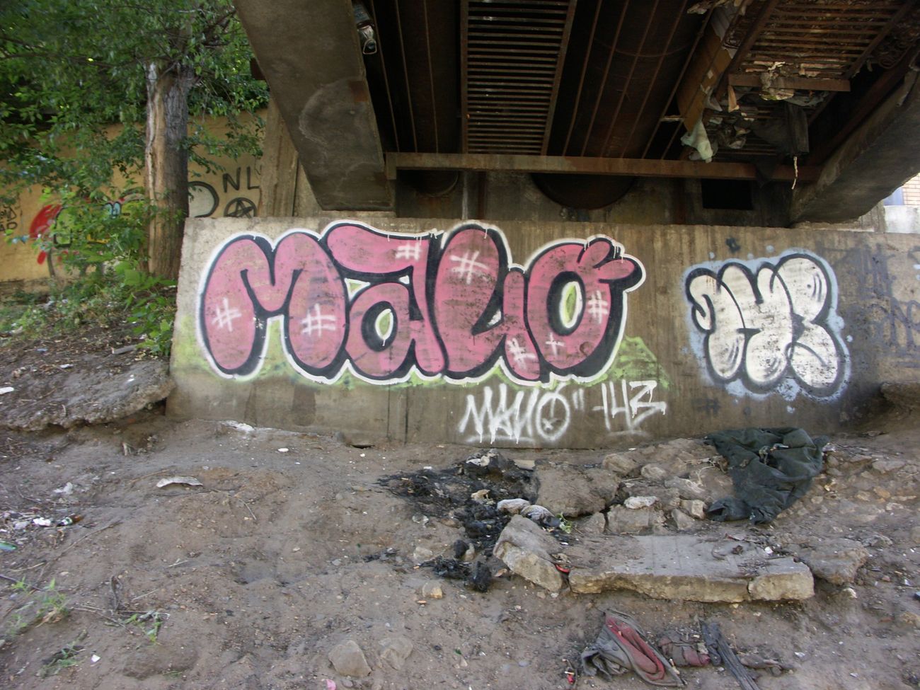 Photo #238618 by 5483r143
