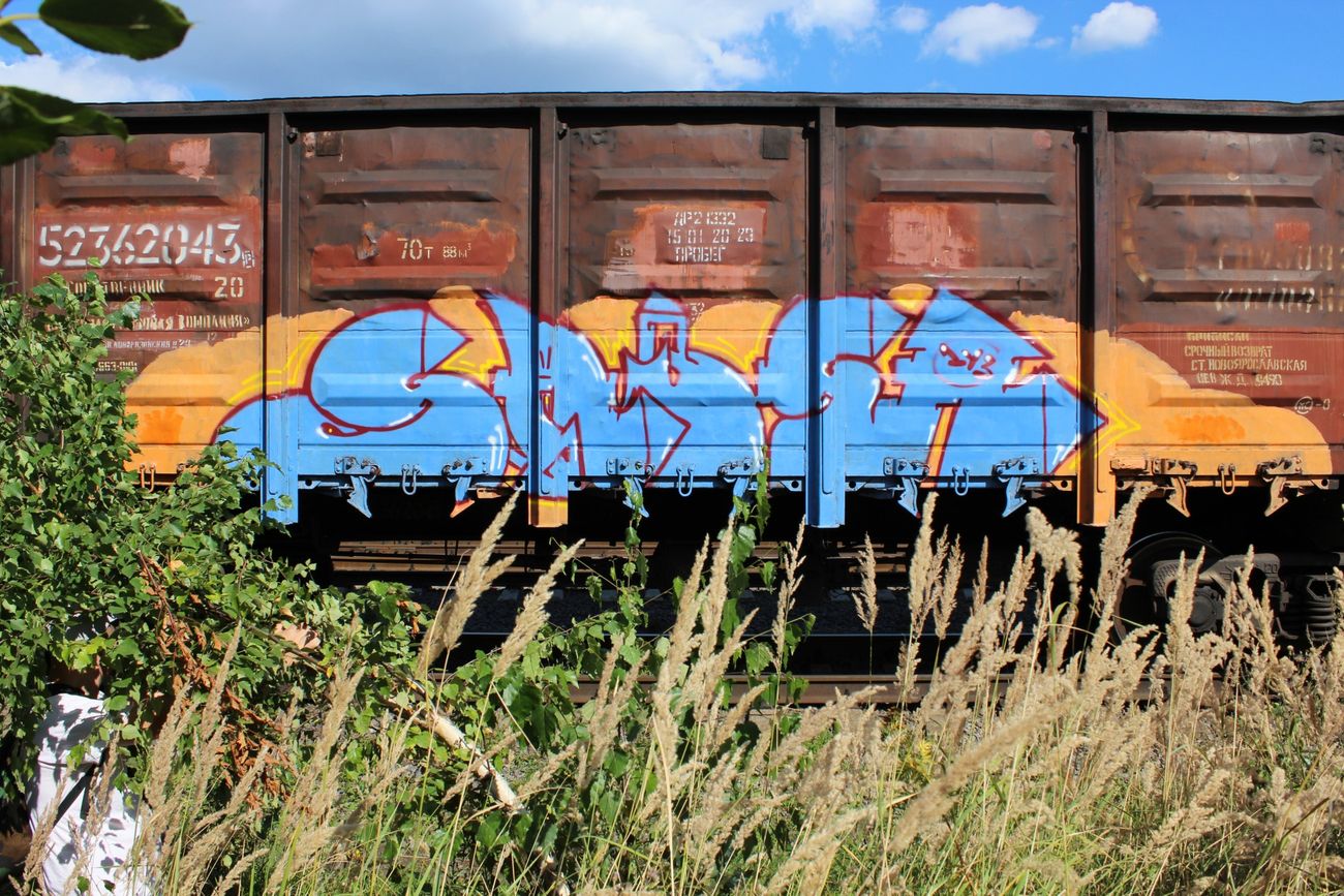 Photo #239169 by 5483r143