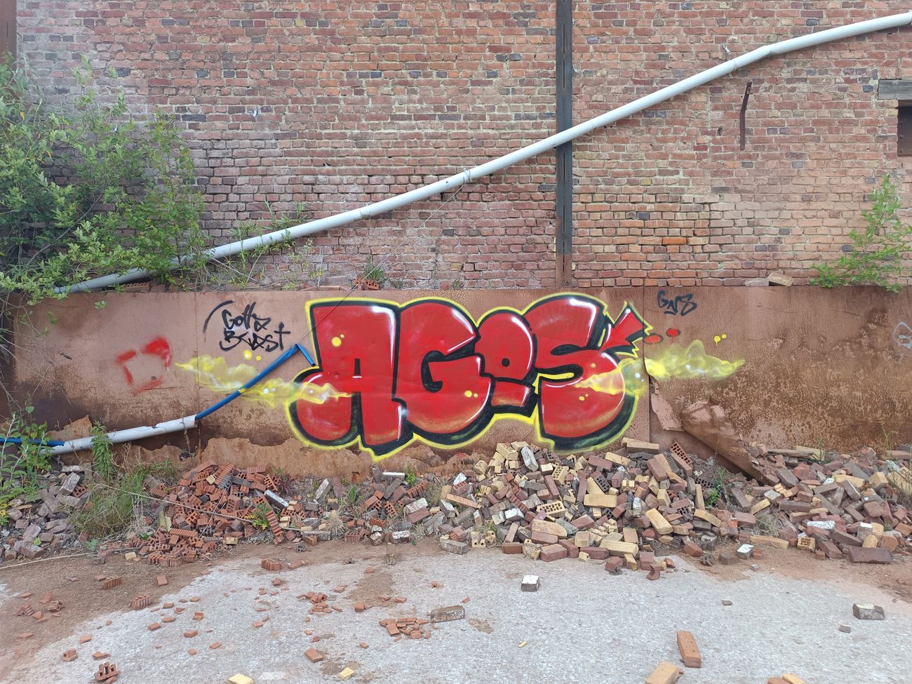 Photo #245511 by AGOS99