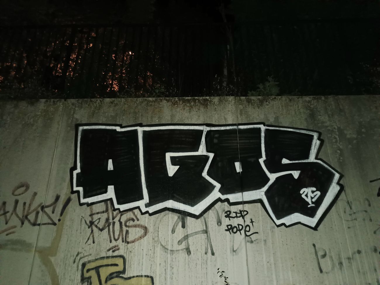 Photo #245141 by AGOS99
