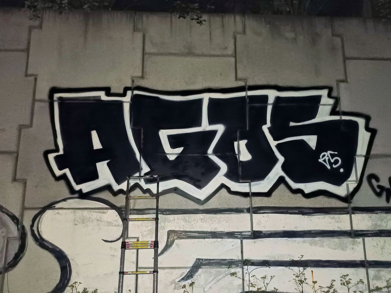 Photo #245970 by AGOS99