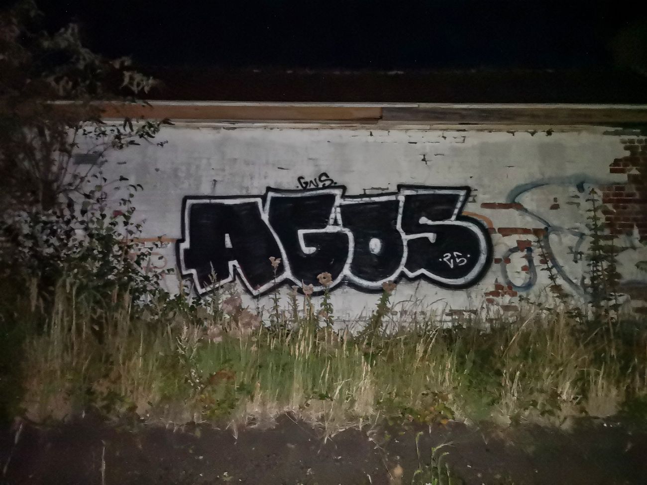 Photo #245905 by AGOS99