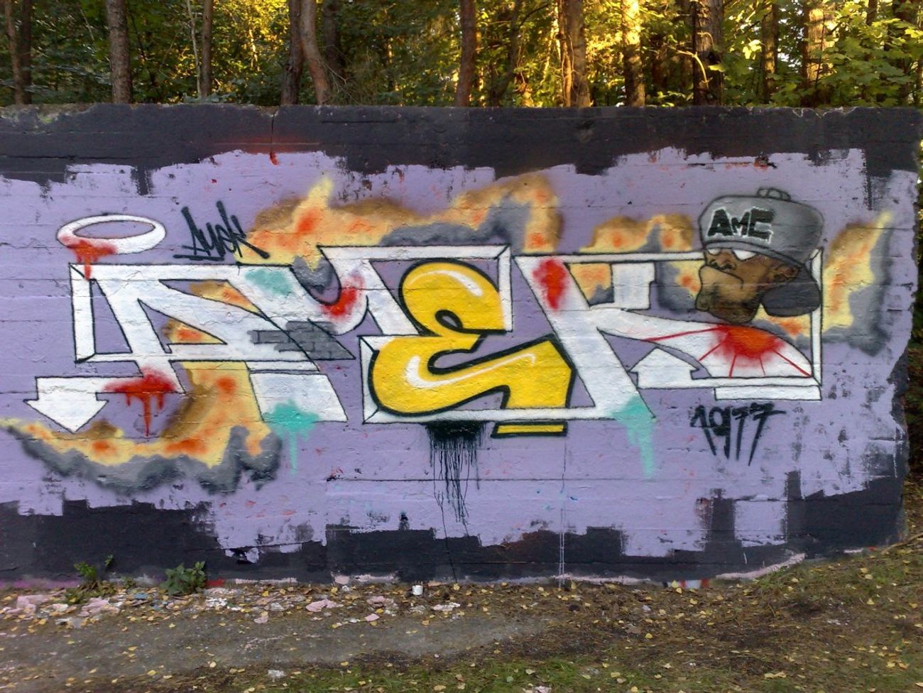 Photo #36938 by Amek