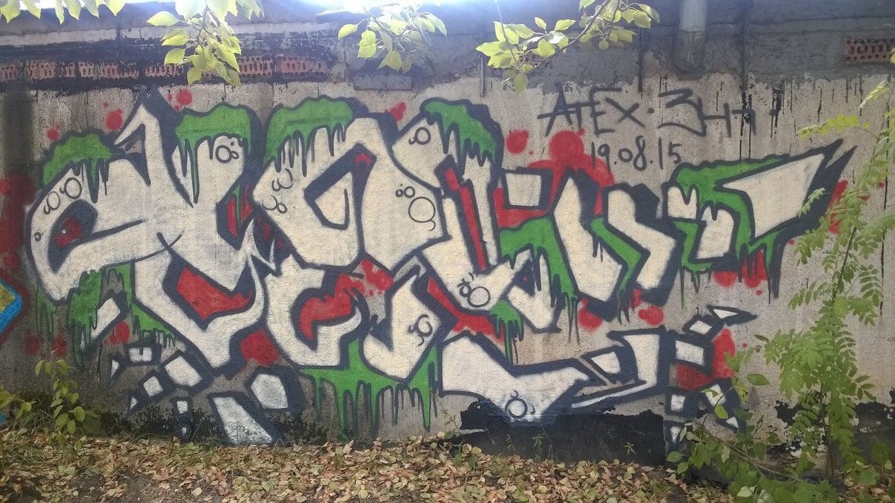 Photo #164276 by Atex341