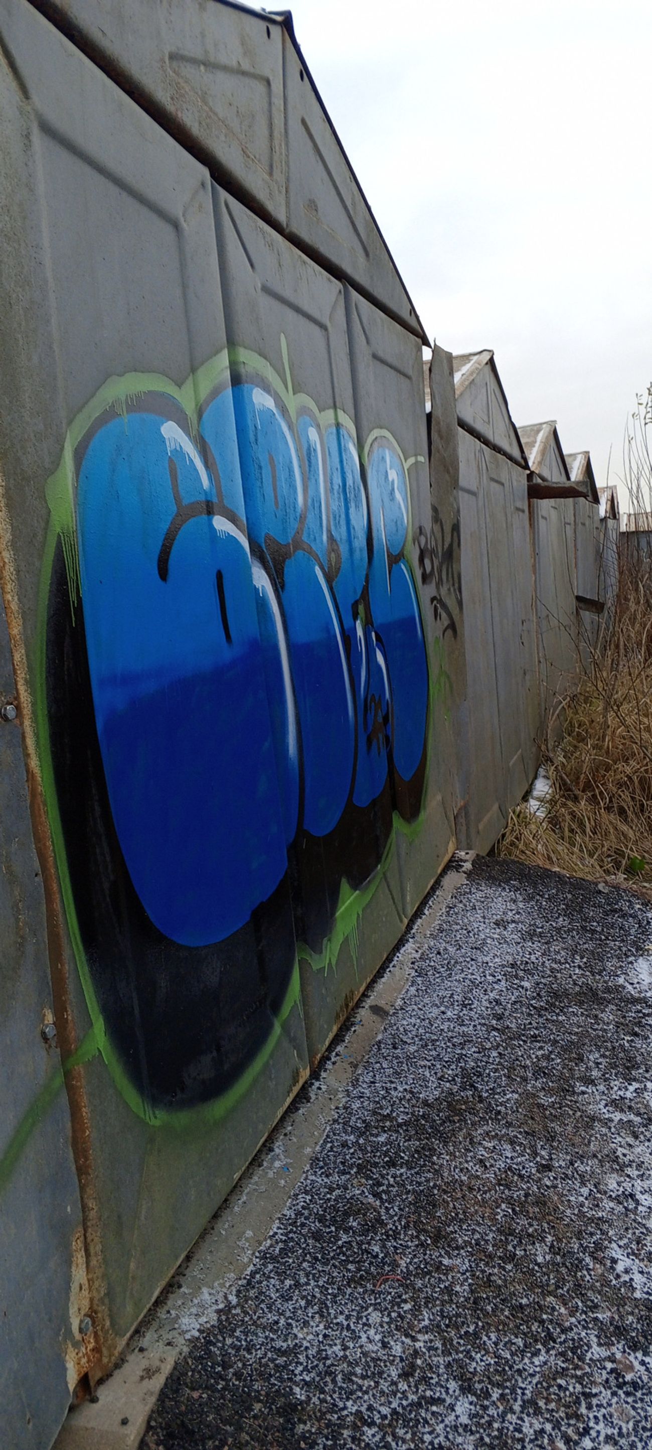 Photo #243108 by BEKC512