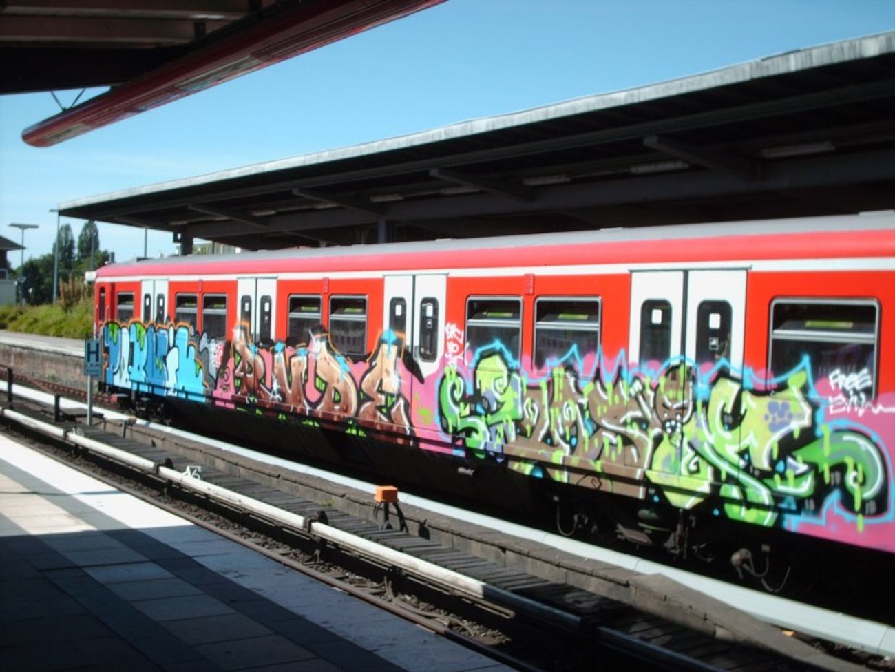 Photo #20273 by COLLECTOR