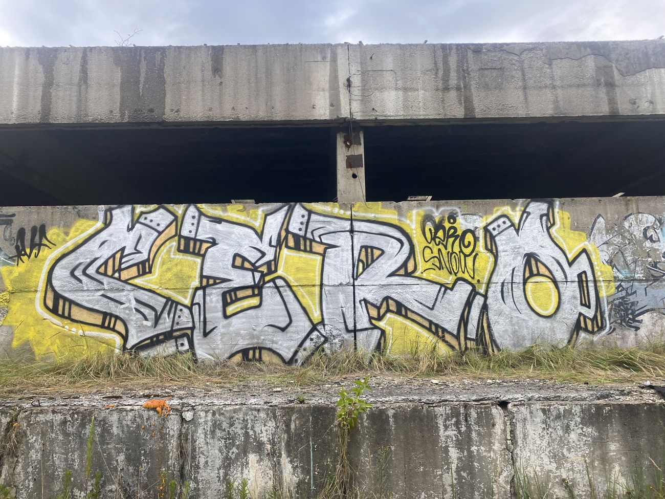 Photo #246338 by Cero