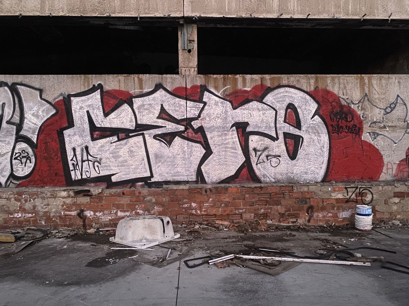 Photo #246449 by Cero