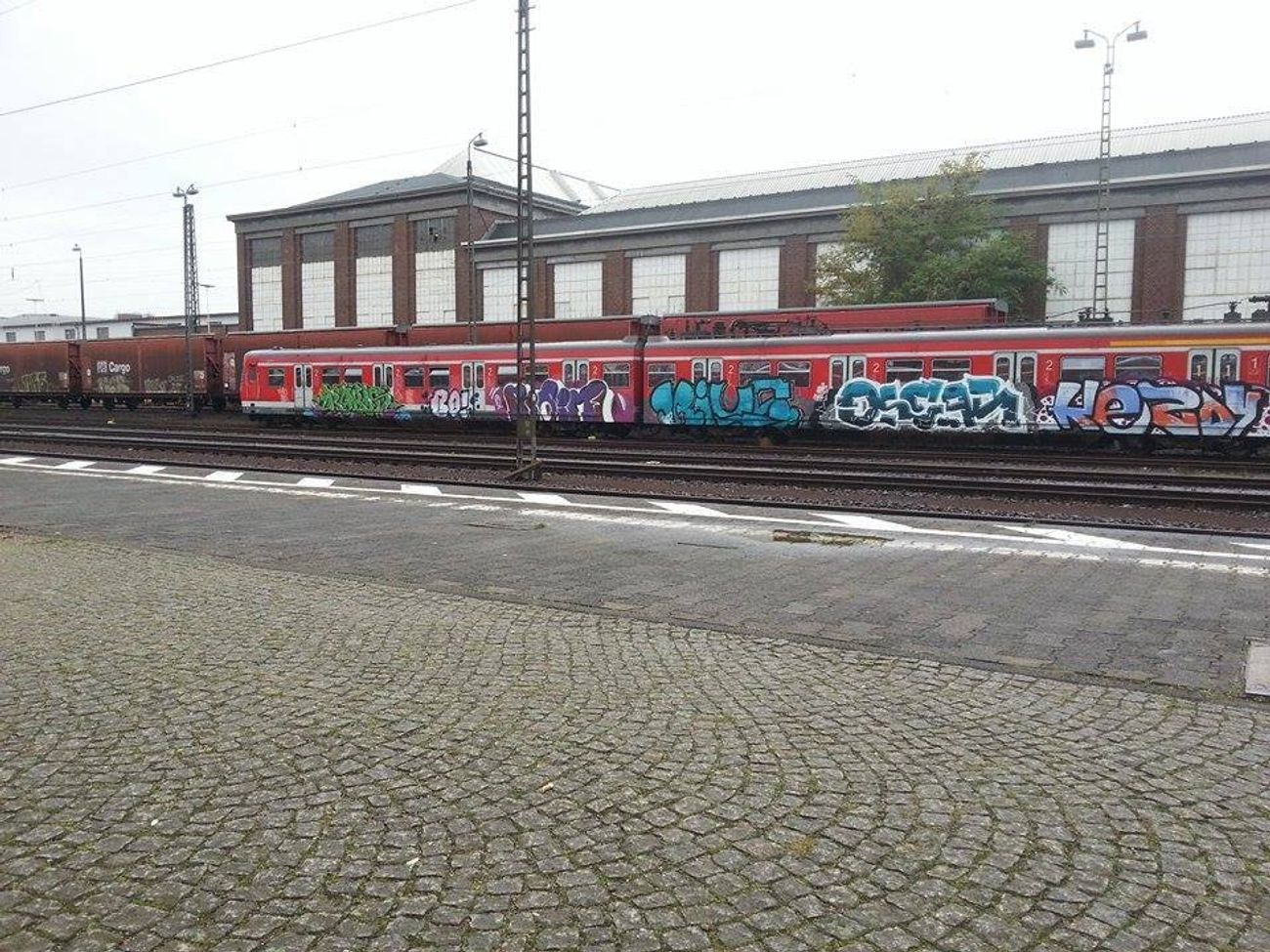 Photo #123588 by Chintz