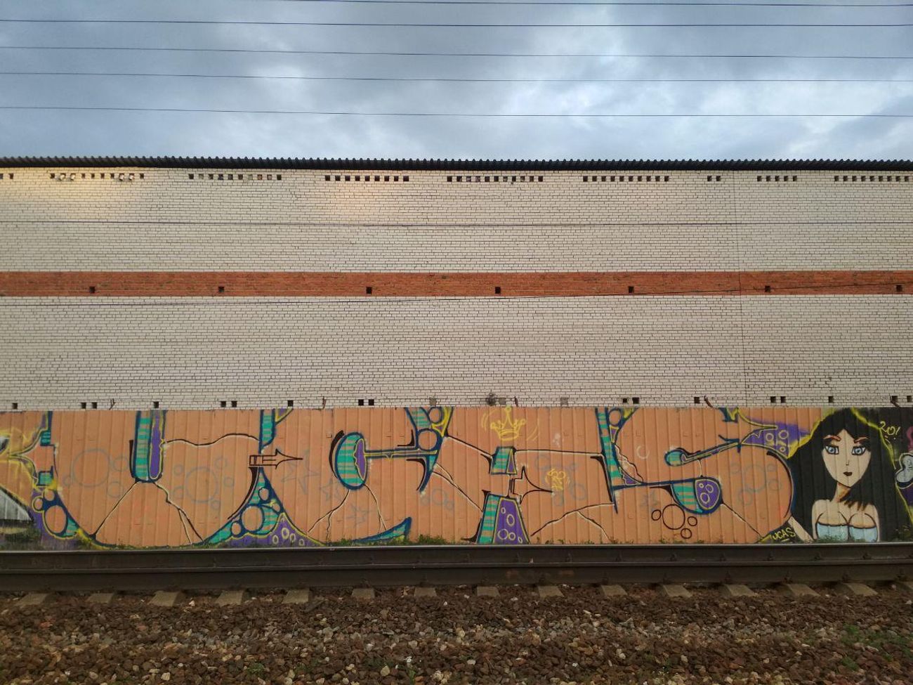 Photo #231870 by Coler