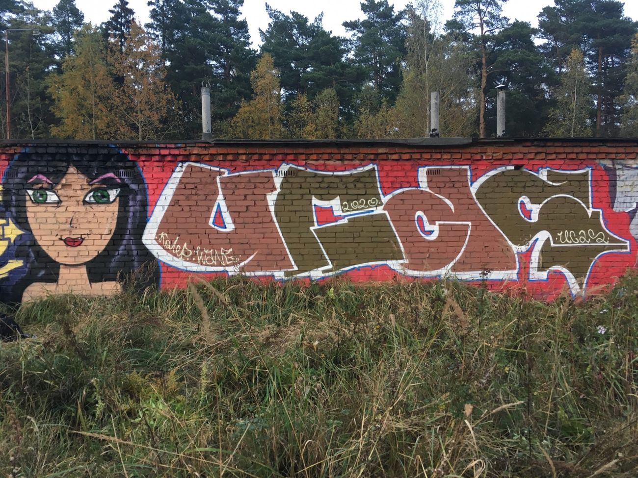 Photo #232433 by Coler