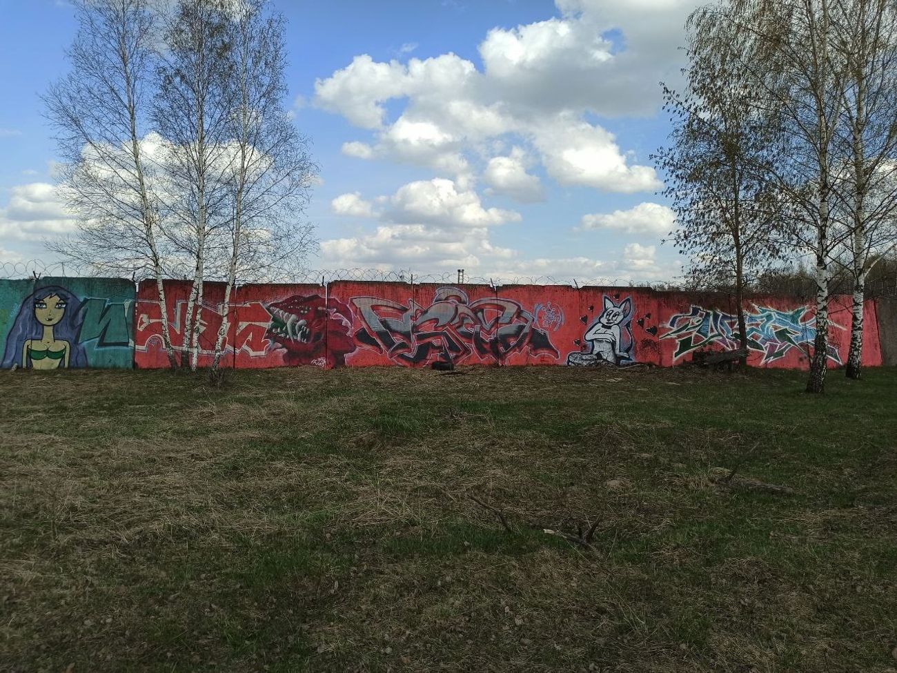 Photo #236216 by Coler