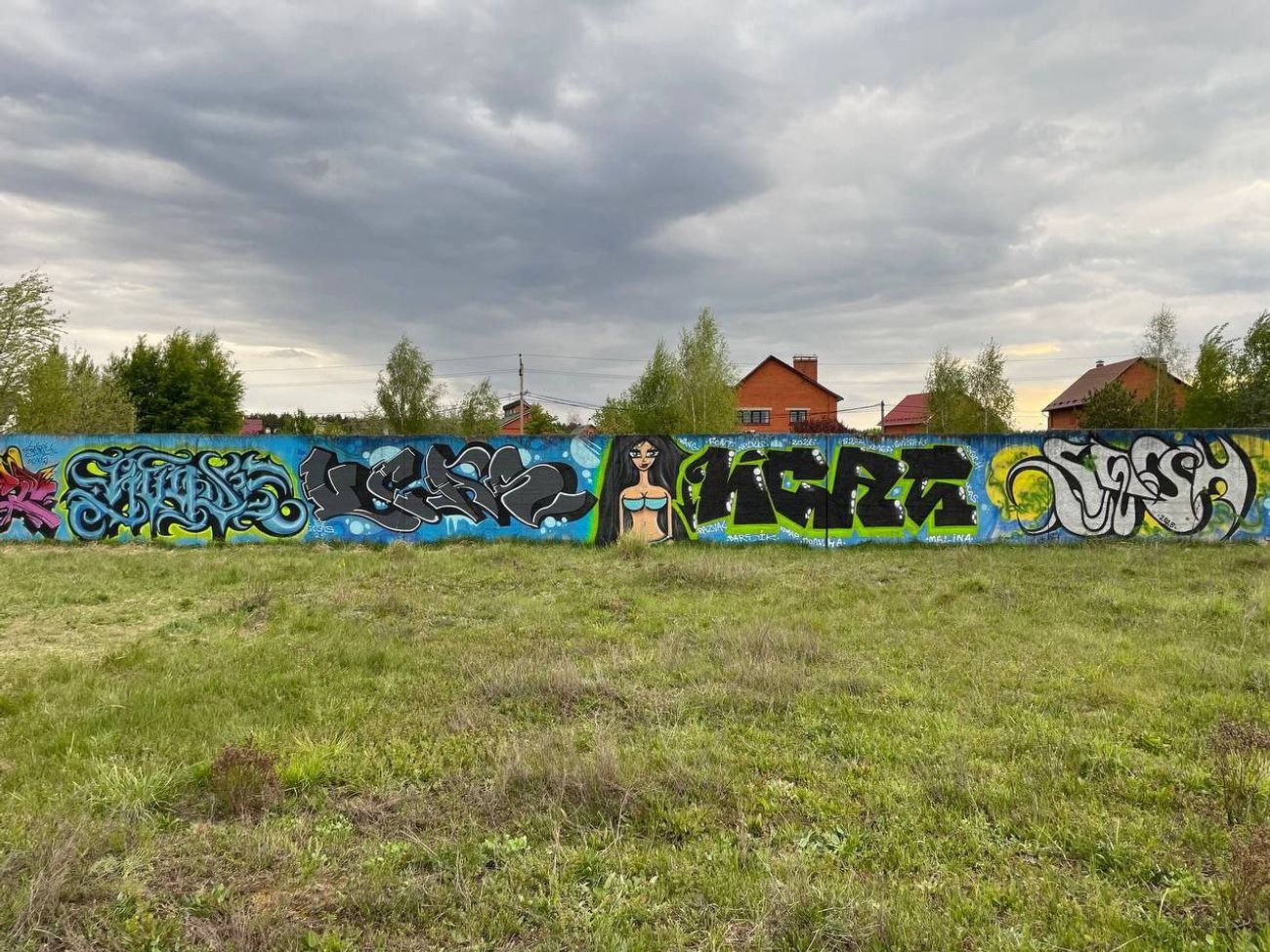 Photo #245433 by Coler