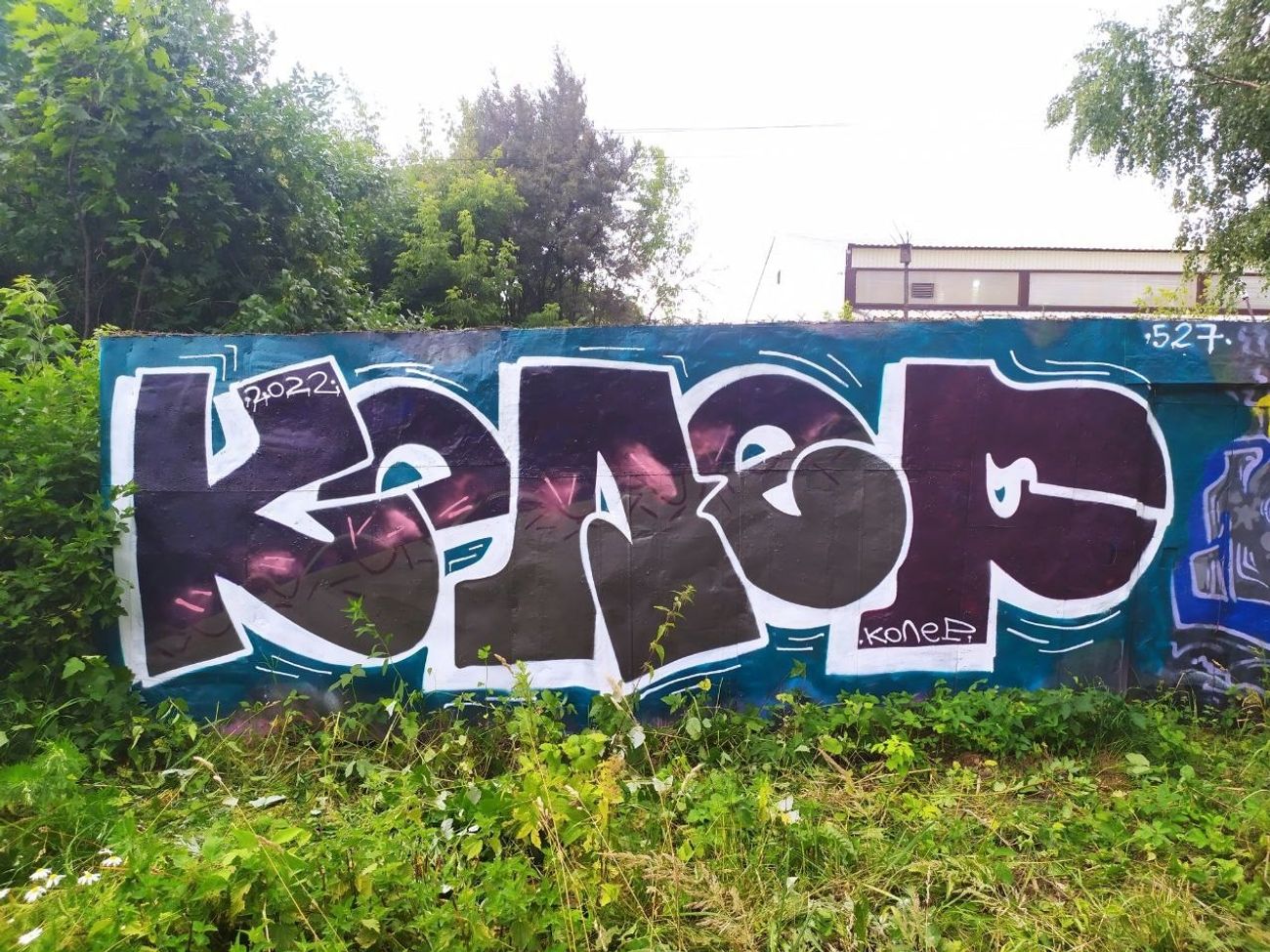 Photo #236463 by Coler