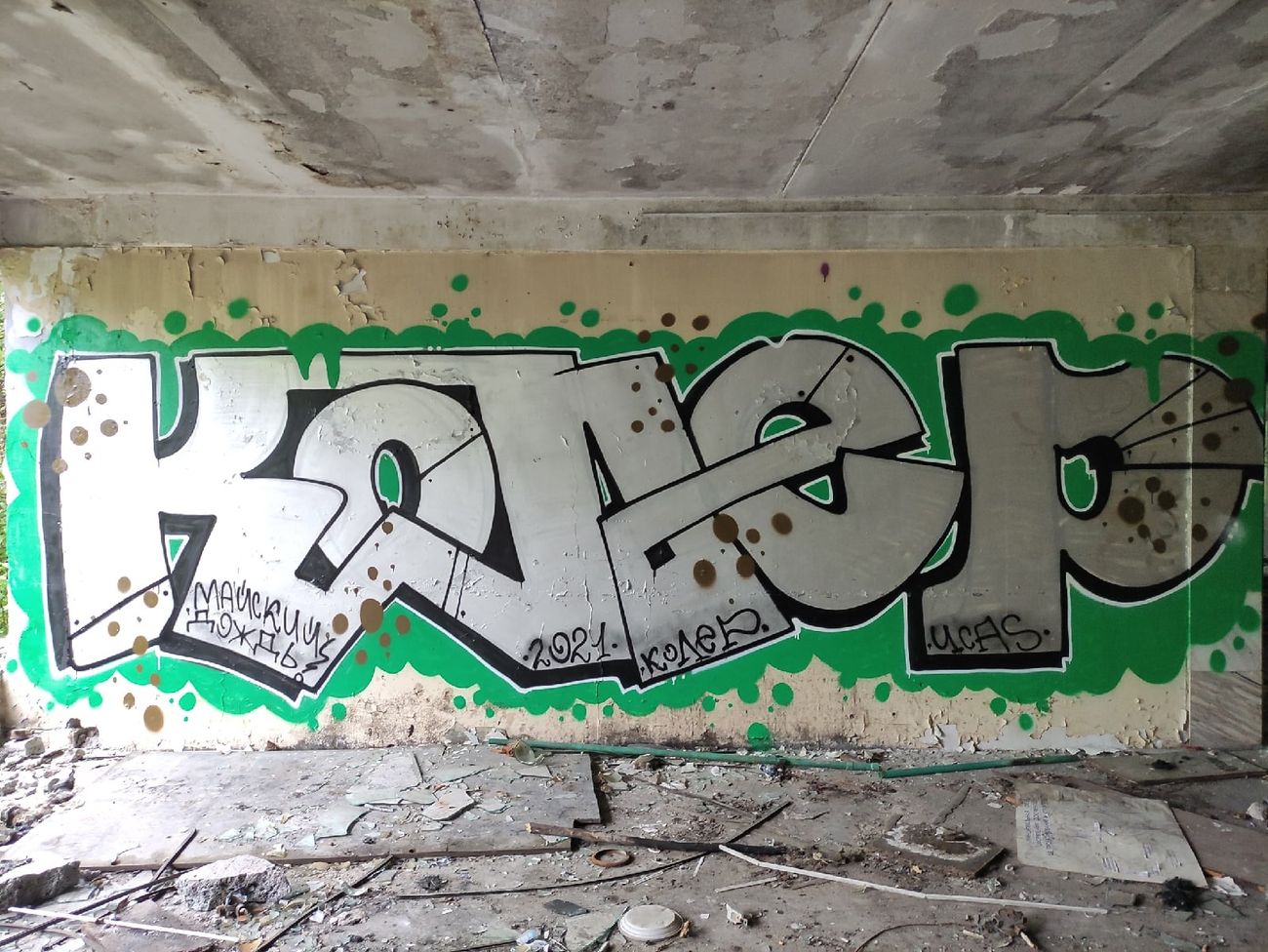 Photo #234261 by Coler