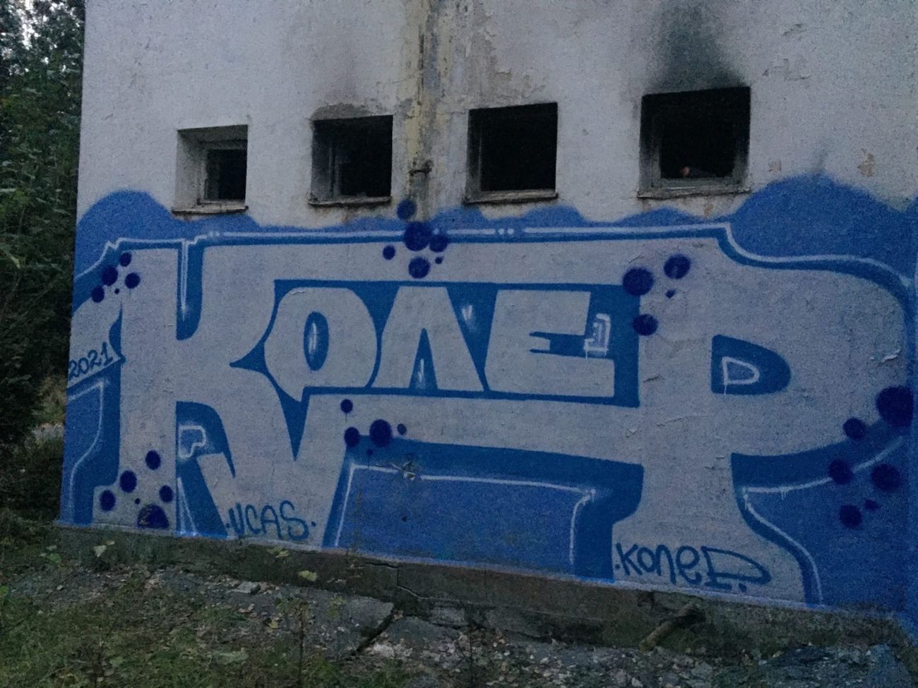 Photo #235195 by Coler