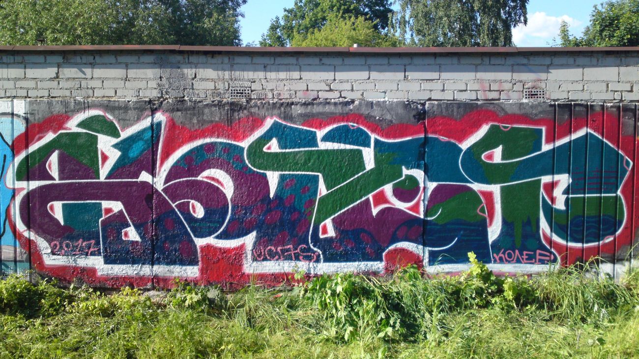 Photo #210539 by Coler