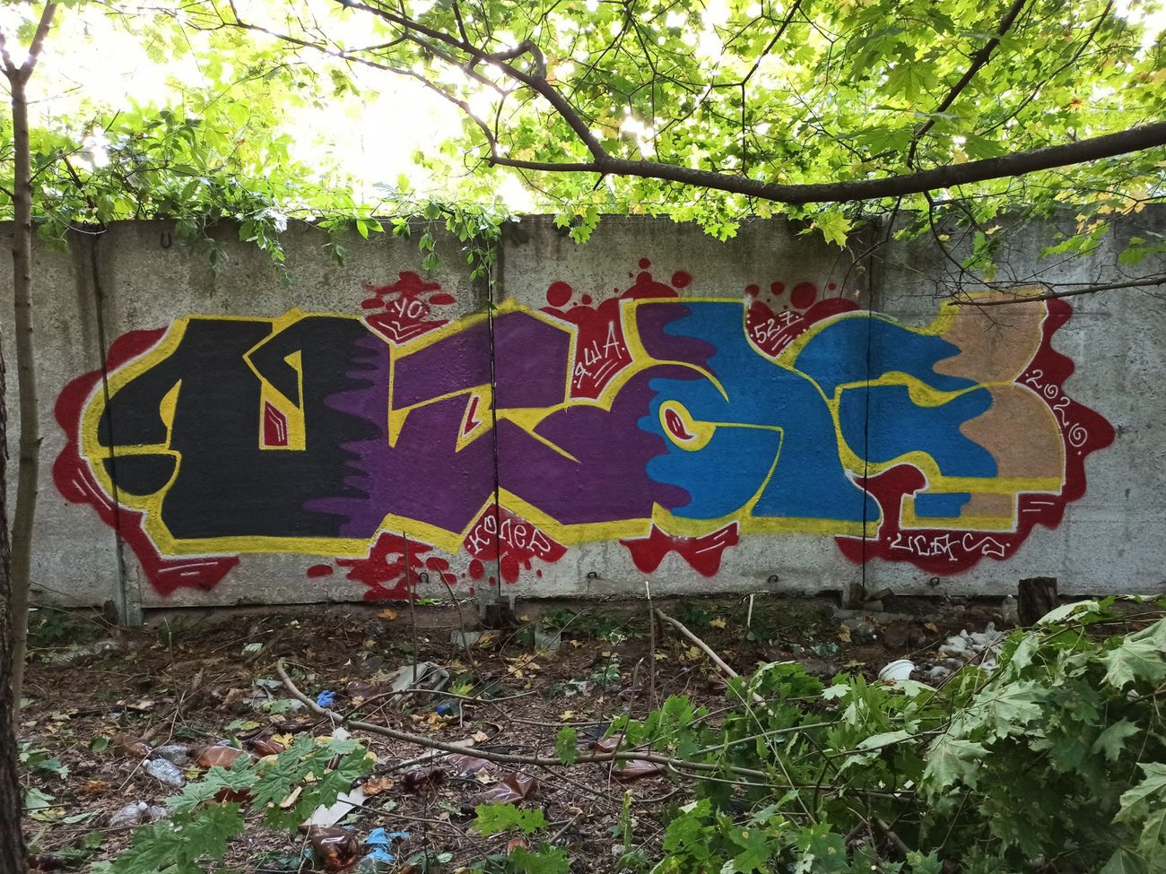 Photo #232241 by Coler
