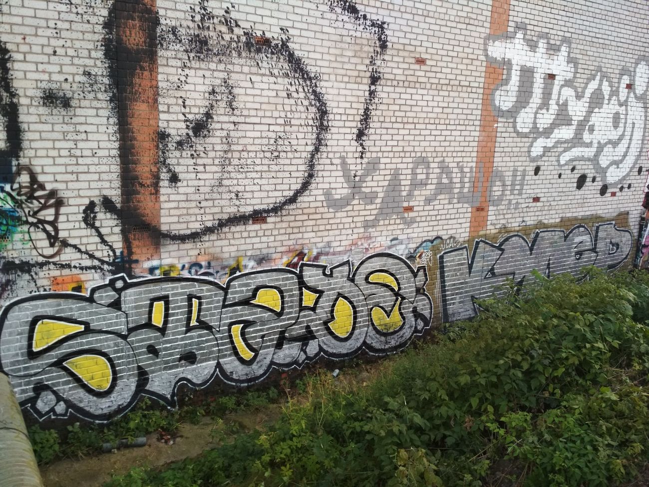 Photo #223468 by Coler