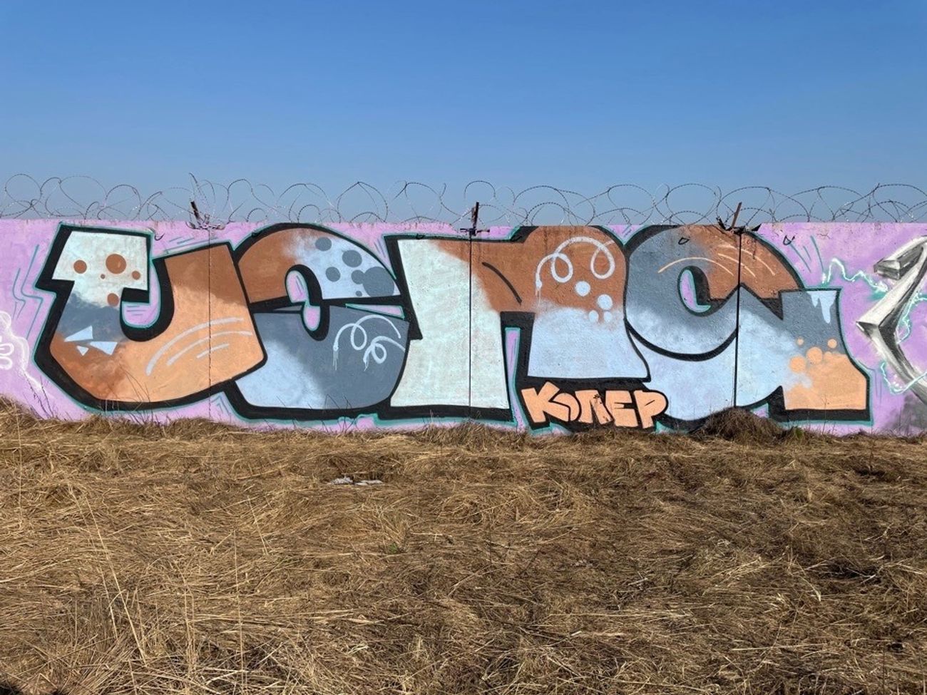 Photo #234069 by Coler