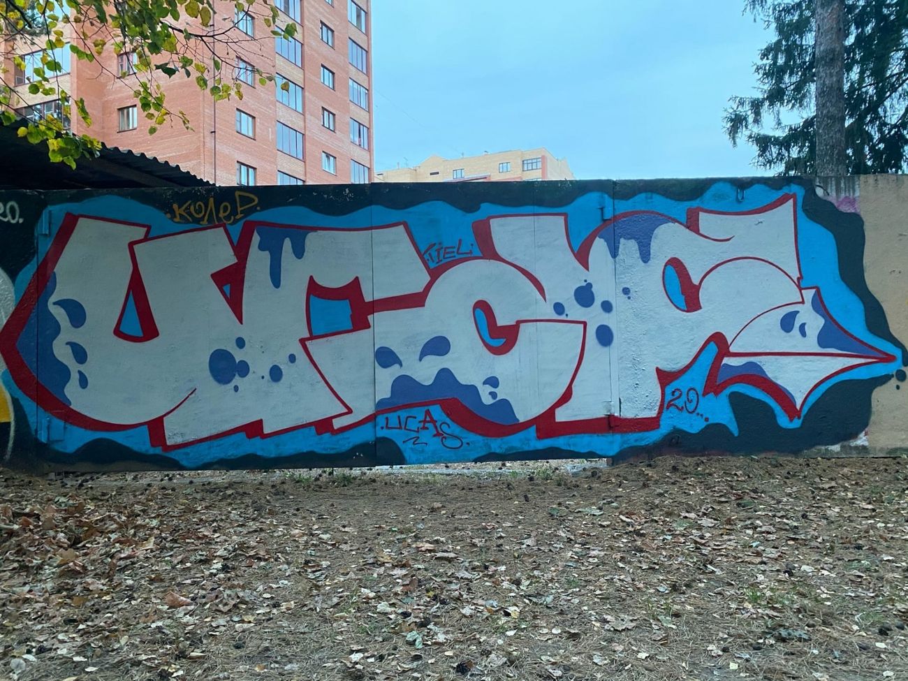 Photo #232367 by Coler