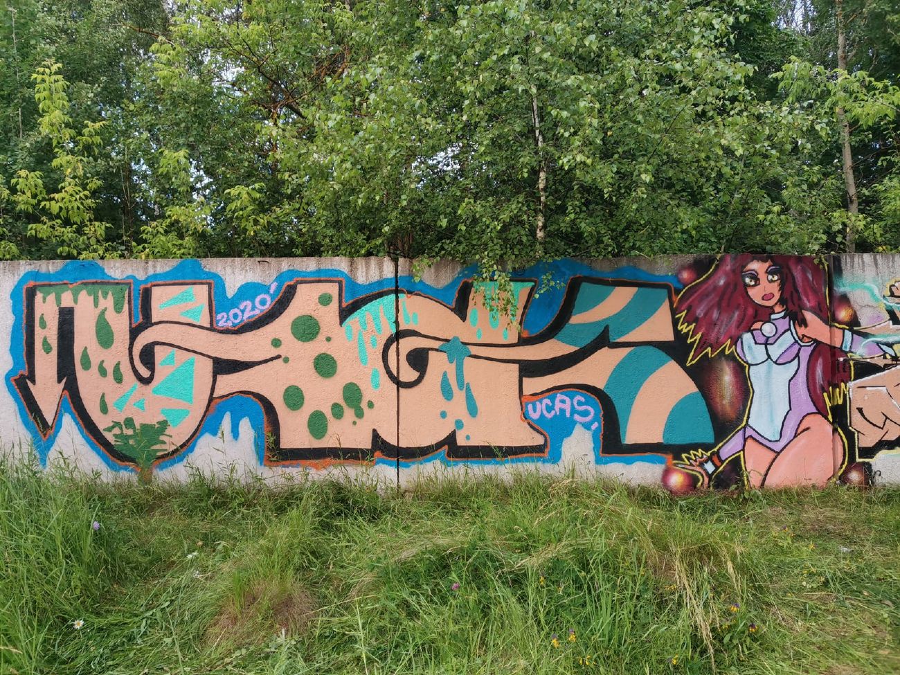 Photo #231850 by Coler