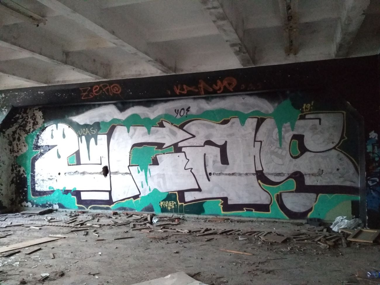 Photo #229331 by Coler