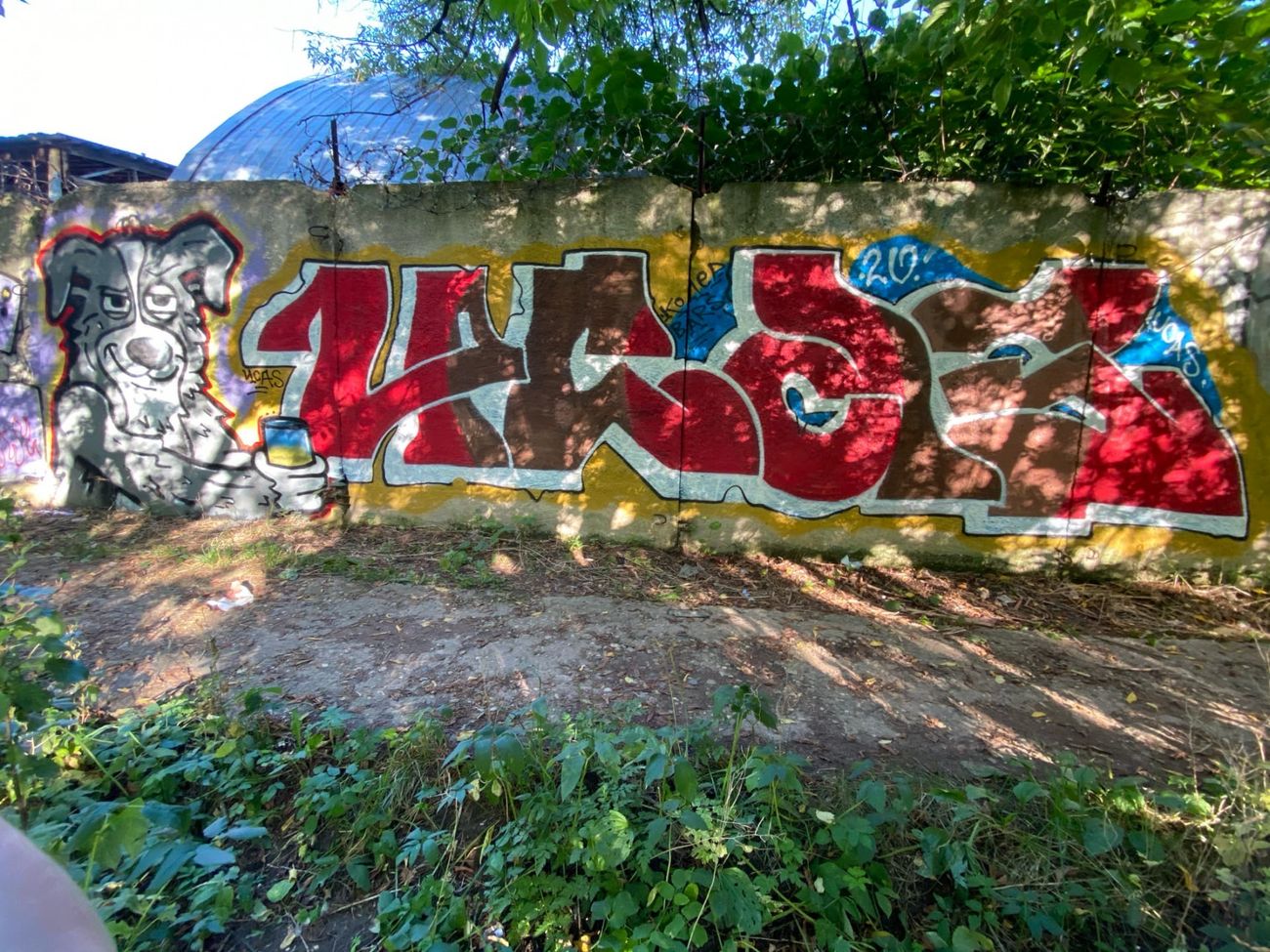 Photo #232222 by Coler