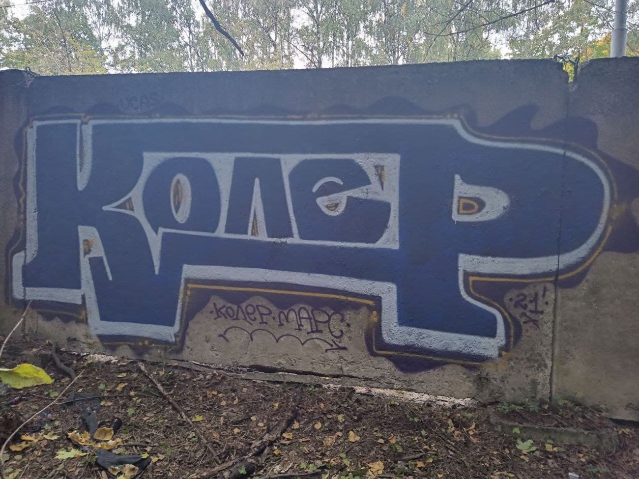 Photo #235101 by Coler