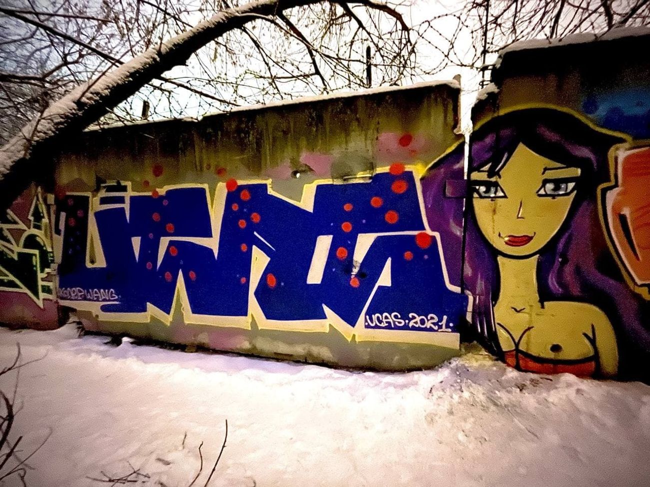 Photo #235494 by Coler