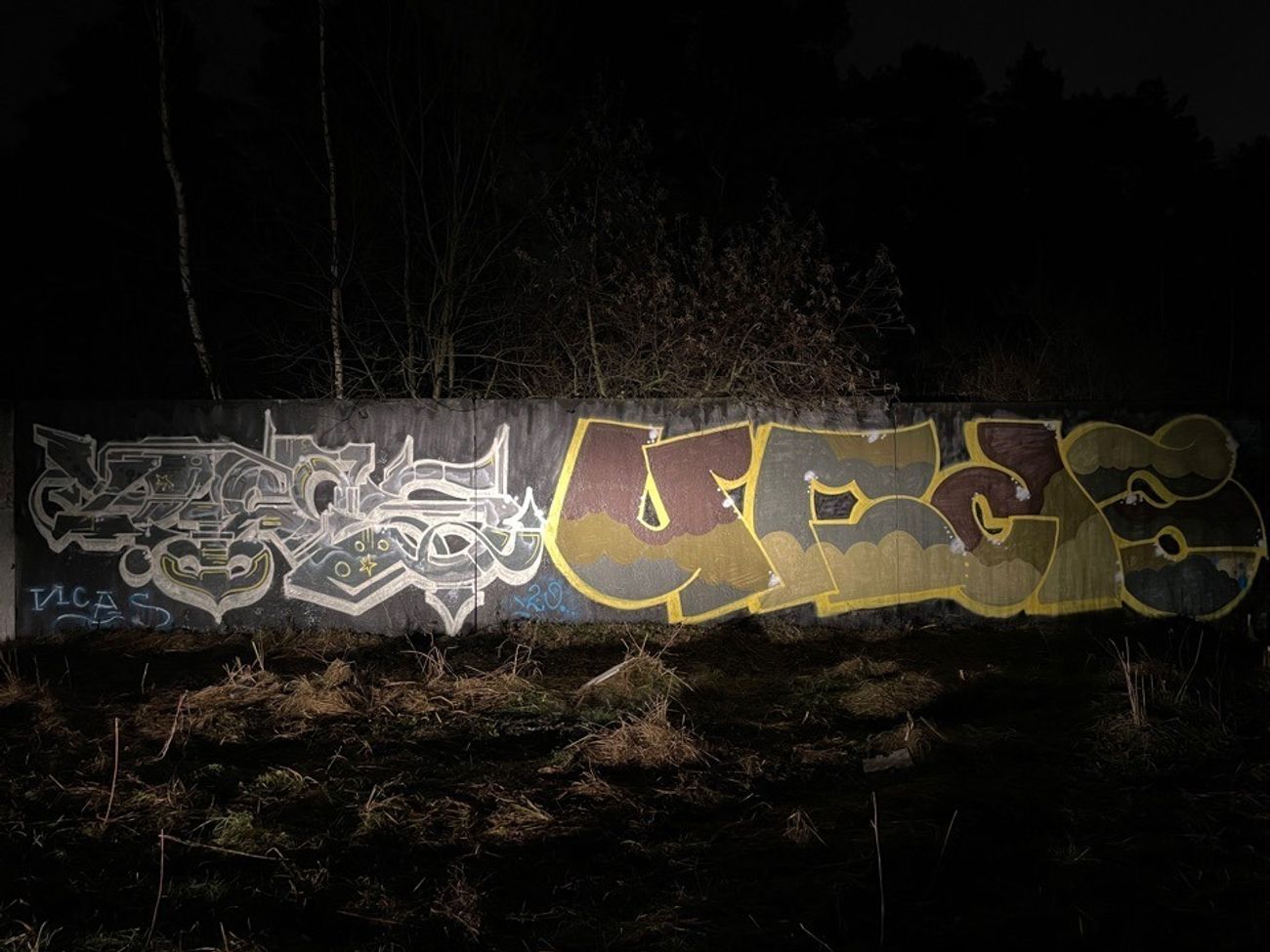 Photo #232710 by Coler