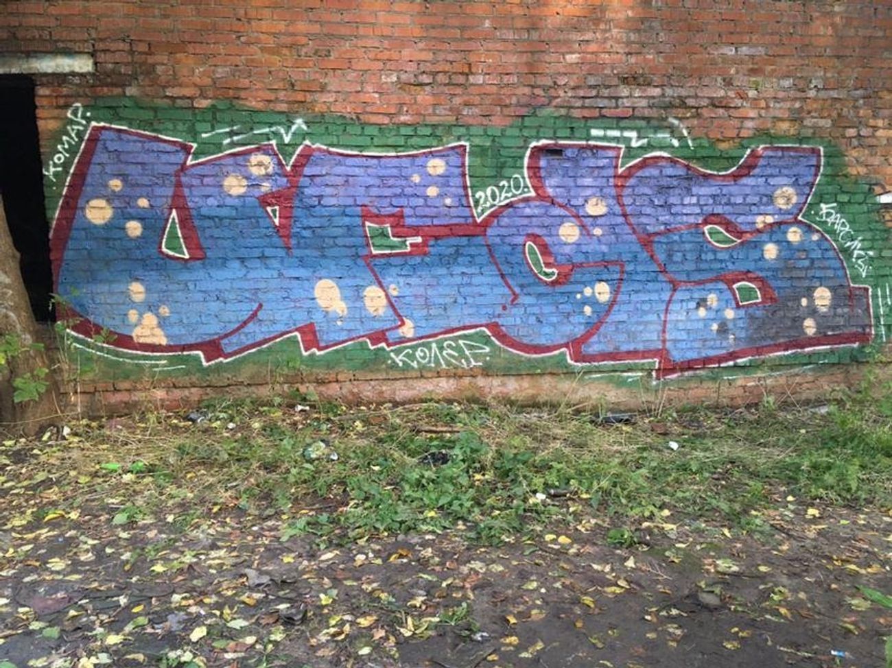 Photo #232365 by Coler