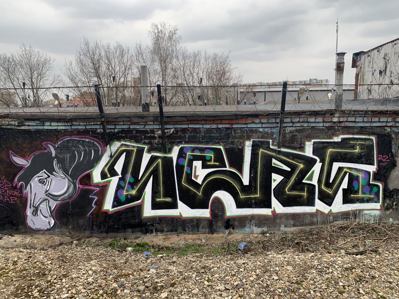 Photo #236175 by Coler