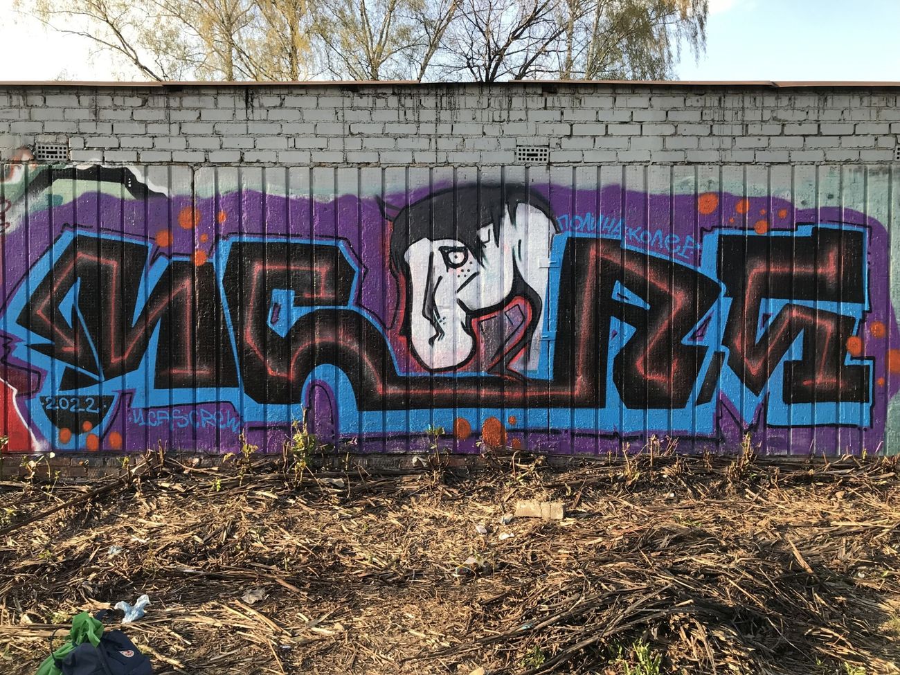Photo #236217 by Coler