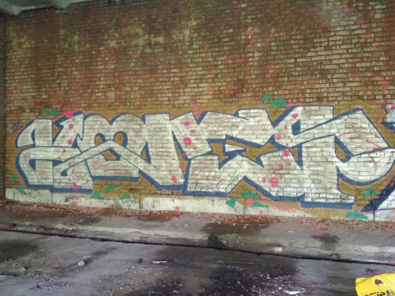 Photo #223406 by Coler