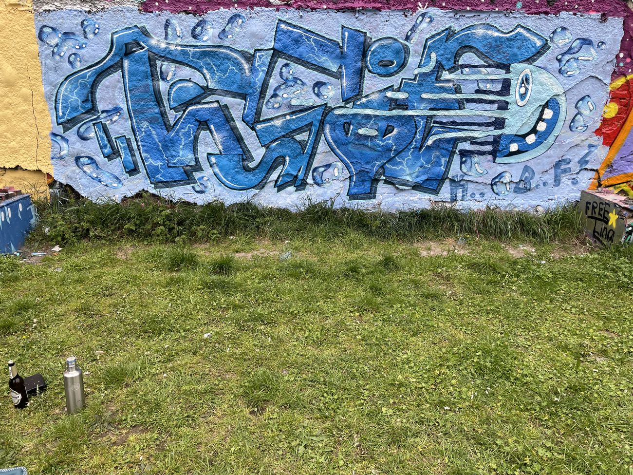 Photo #247454 by DISOE