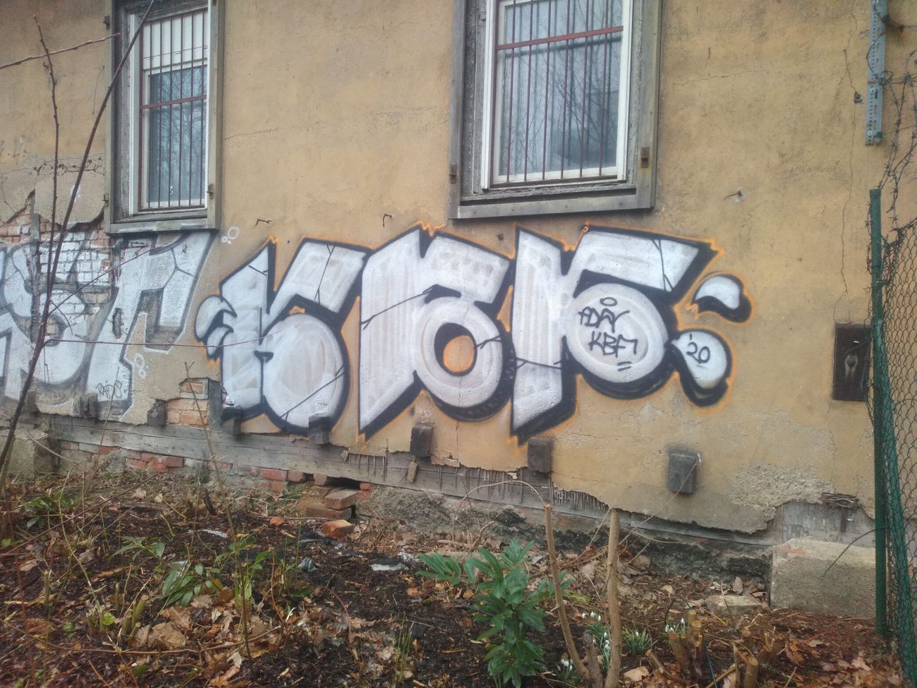 Photo #247493 by DISOE